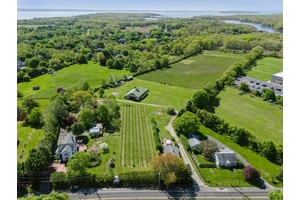 Introducing an excellent opportunity to own a well cultivated vineyard planted with premium varieties of Sauvignon Blanc, Merlot, and Riesling situated on the North Fork of Long Island.
