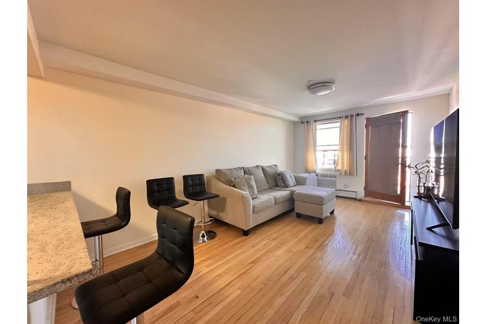 Living room with light wood-type flooring and a baseboard radiator