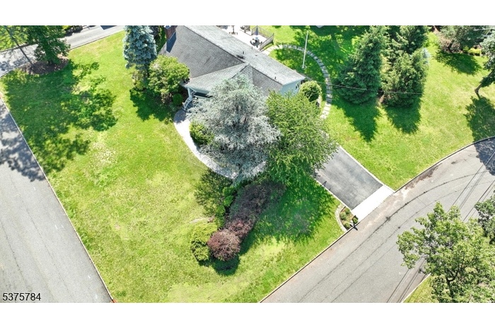 Drone View