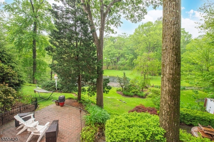 Backyard oasis