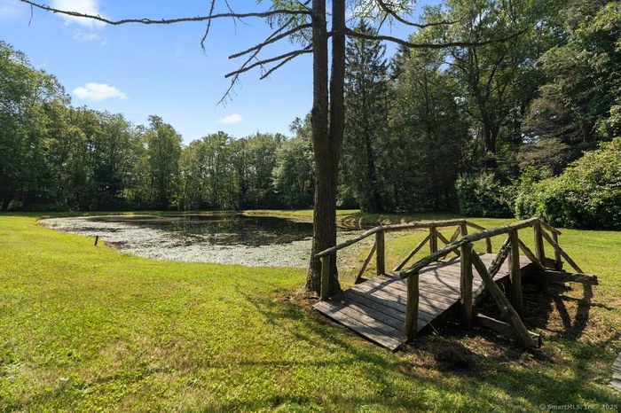 Pond