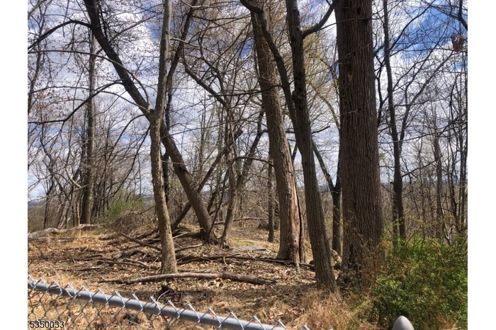 Another View of Land