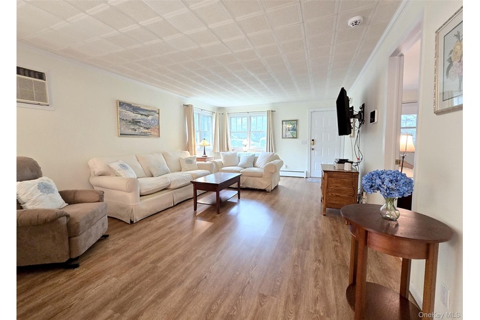 Living room with wood finished floors, a baseboard radiator, and a wall unit AC