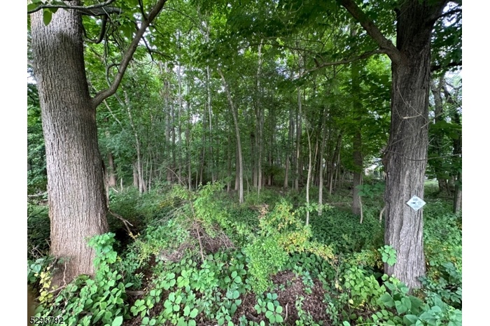 Undeveloped Land