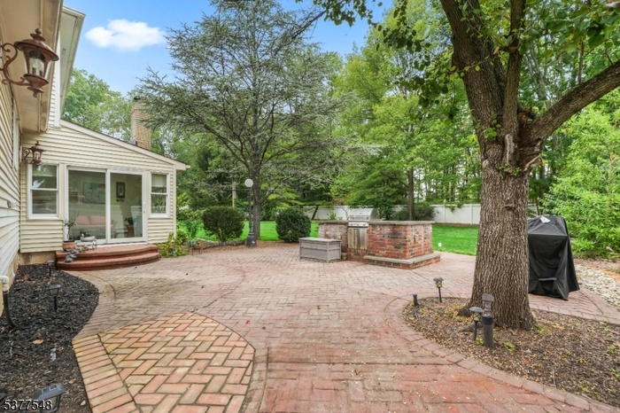 Rear Patio with built-in grill