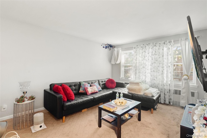 Living room with light carpet and radiator