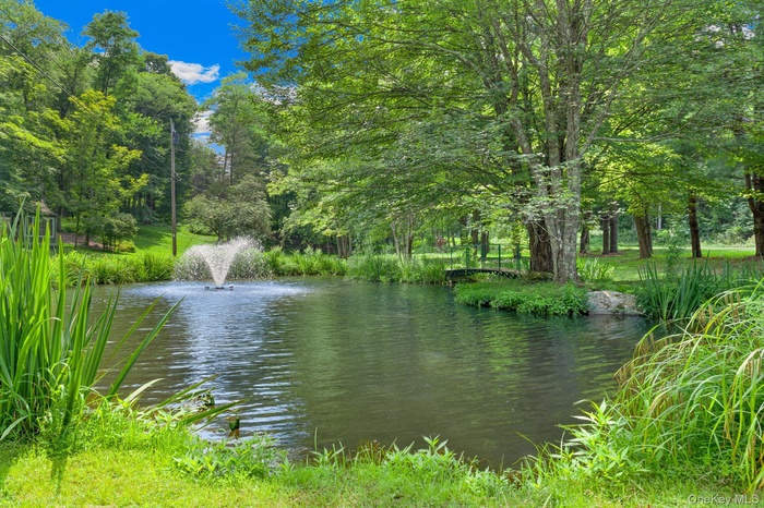 Water view