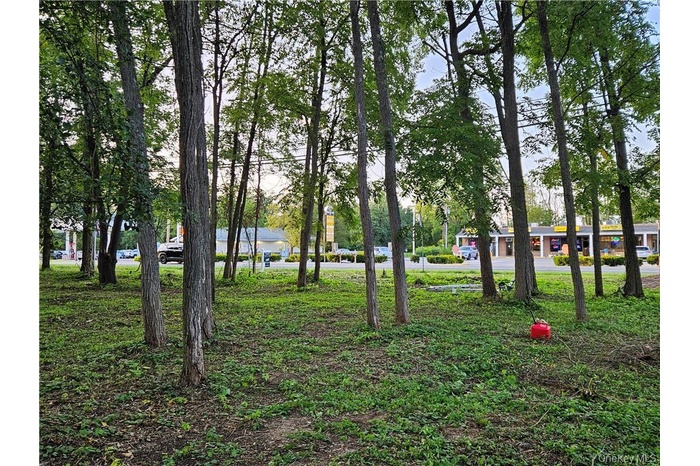 View of community