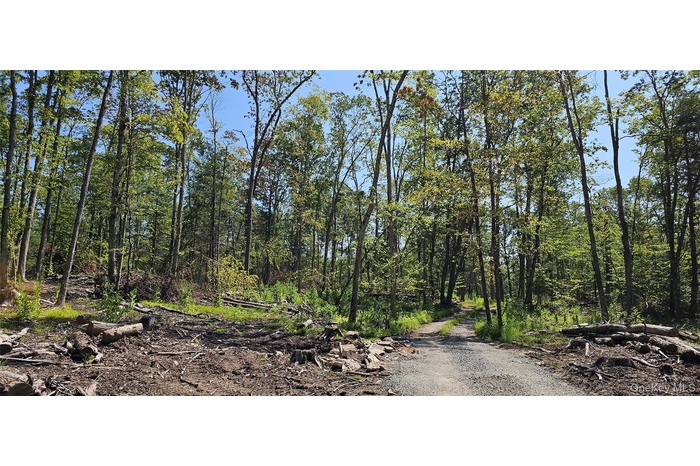 View of wooded area