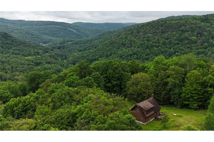 View of mountain backdrop with a forest
