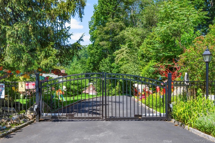 View of the electronic gate
