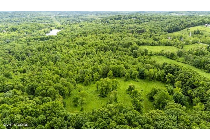 Bird's eye view of a forest