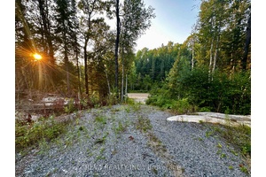 Investment opportunity in South Algonquin This property consists of two building lots naturally severed by Mackenzie Lake Road.