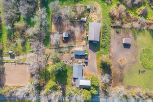 Calling All Horse Enthusiasts and Homesteaders !