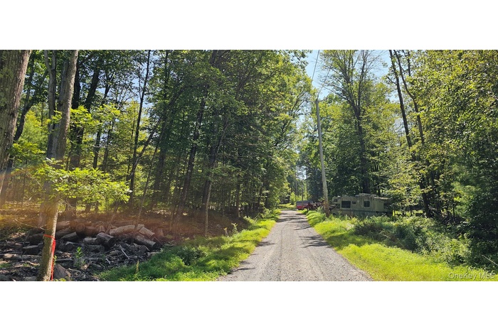 View of dirt / gravel road featuring a wooded view