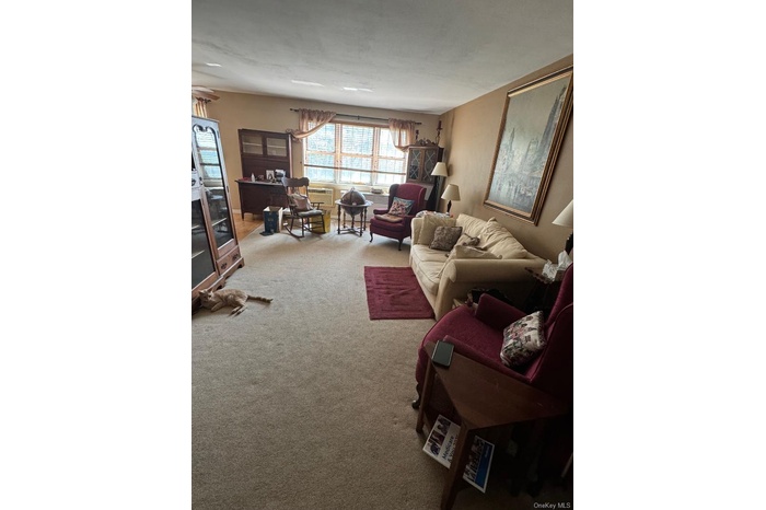 Living room with carpet