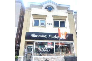 Fantastic Opportunity for Investors or those that want to live in a building that provides excellent income !
