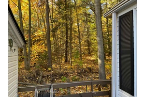 Northlander Cottager nestled within the serene beauty of Wasaga CountryLife Resort.