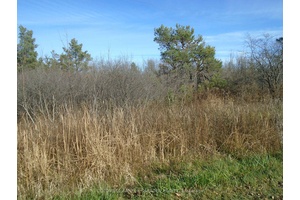 36 ACRES OF VACANT LANDS ZONED RURAL RESIDENTIAL.