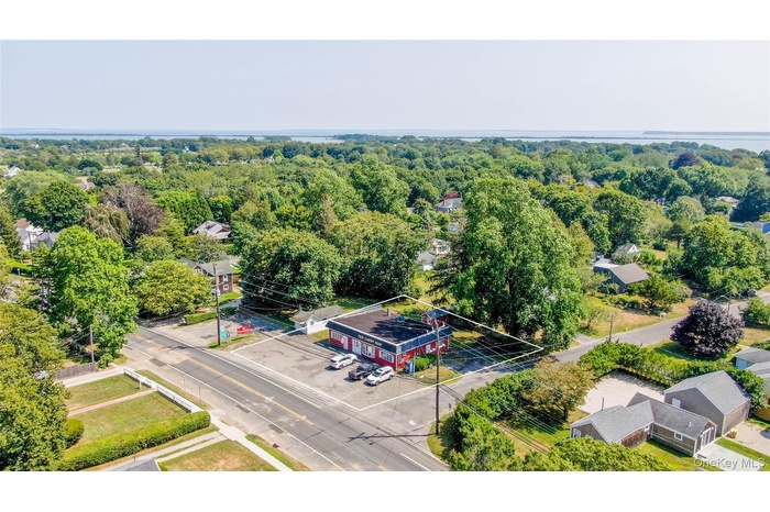 Drone / aerial view of a forest