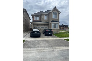 Spacious amp ; Newly Built legal 2 Bedroom Basement In a Nice Friendly Area.