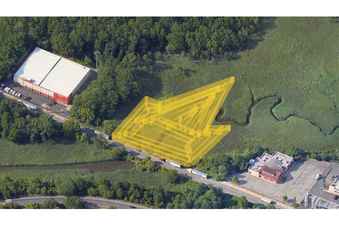 Aerial view of a forest