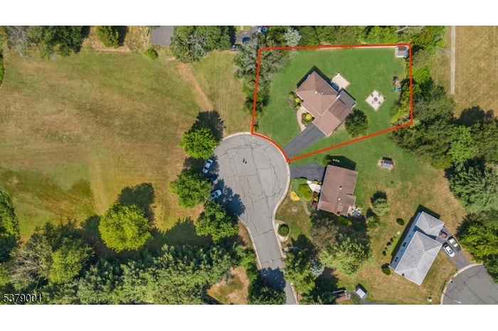 DRONE VIEW 1