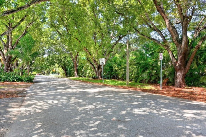 Tree-Lined Mariposa Avenue