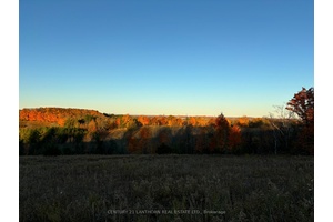 Beautiful hillside 11. 45 Acre lot.