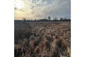 Expansive 93 acre property with dense bush, scattered hardwoods and trails on beautiful Amherst Island.