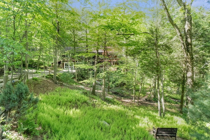 View of House in Woodland Garden