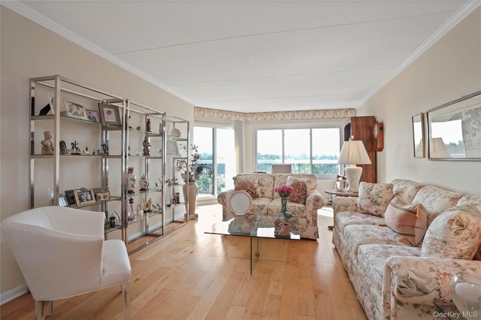 Living room with large window windows , door to the terrace and wood like floors