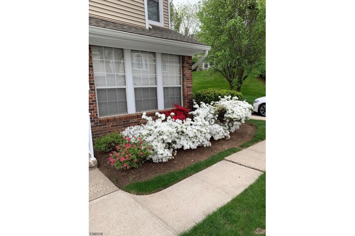 Front Door-2