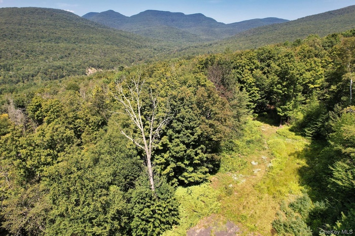 Aerial view of a forest and a mountainous background