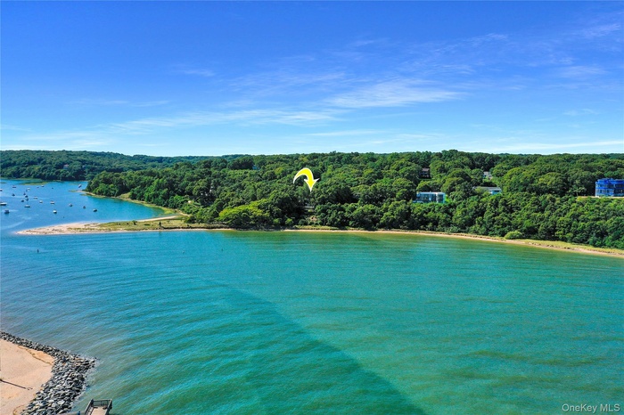Drone / aerial view of a large body of water and a forest