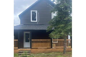 This beautiful Century home is remodeled from the top to the bottom.