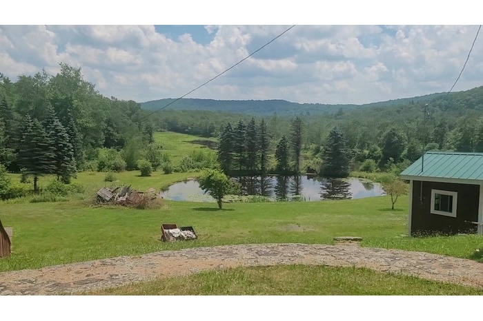 View of mountain background featuring a large body of water and a forest