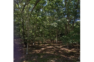 East Hamton Buildable Lot Build your dream on this tranquil street.