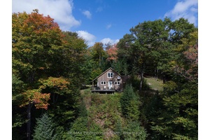 If you're craving true solitude, stunning vistas, and the freedom to live immersed in nature, this 80 acre off grid sanctuary is your dream come true.