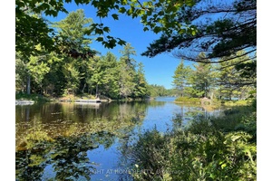 Discover a Rare Chance to Secure this Waterfront Property Nestled Along the Picturesque Shores of McLean Lake !