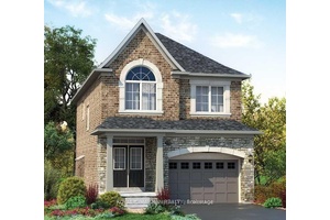 Basement Apartment For Lease.