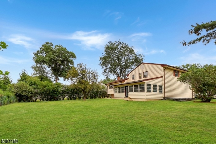 Backyard, Rear View of House