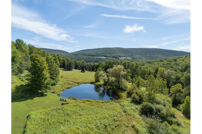 Drone / aerial view of a forest and a water and mountain view