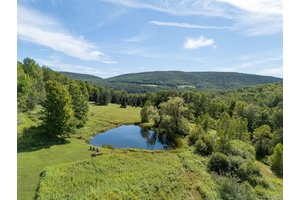 Your Shangri La in the Catskills A rare 100 acre retreat bordering protected land, with Beaverkill Mountain Club membership, mountain views, and beauty in every season.