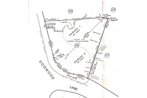 Build Your Dream Home in Larchmont !