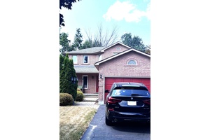 Gleaming clean and beautiful house for rent.