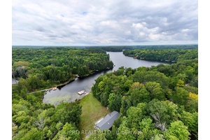 Welcome to the serene beauty of Otter Lake !