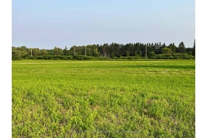 The Property At 925 Townline Road North In Clarington, Ontario, Is A 40.