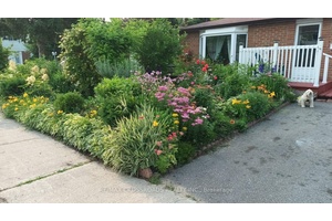 Beautiful Three Bedroom and 1.