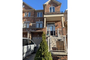 Weston and Sheppard Location, newly finished basement for rent.